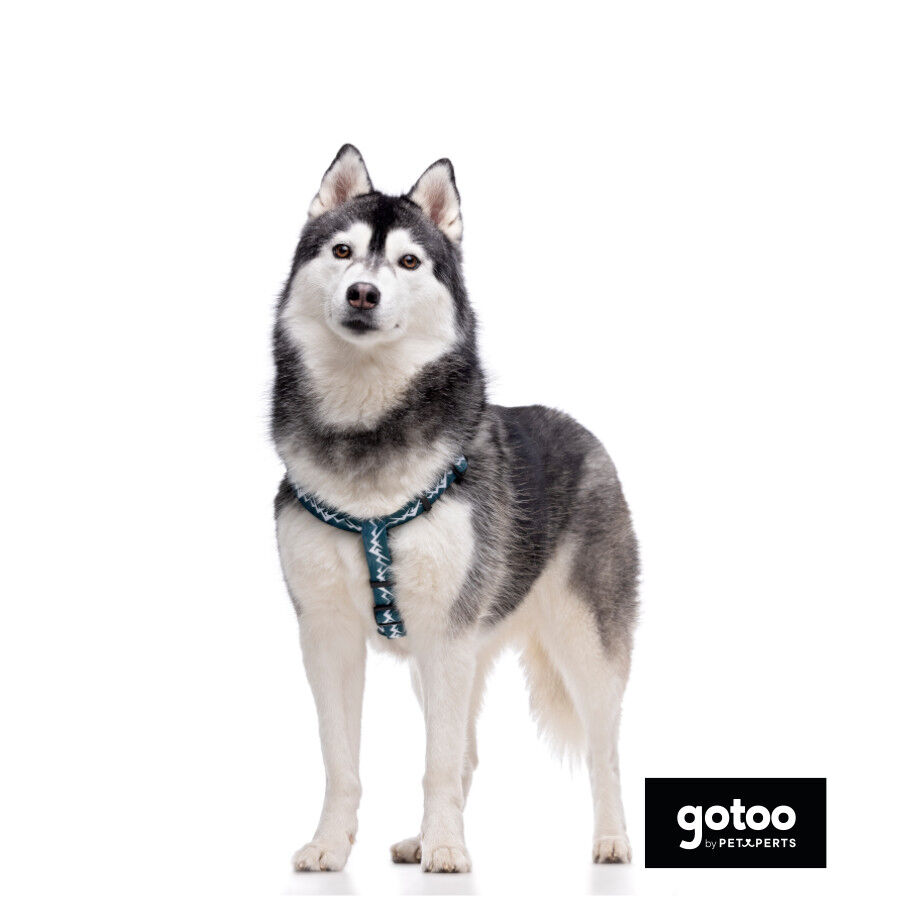 Gotoo Arnés estampado verde para perros thumbnail