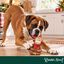 Wonder Christmas Mono L&aacute;tex Juguete para perros, , large indicador imagen numero 2