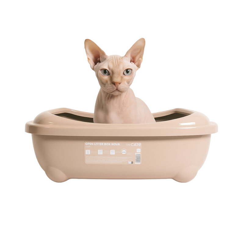 Nice Care Kit Beige para gatos,  Imagen numero 2 Nice Care Kit Beige para gatos, , large Imagen numero 2