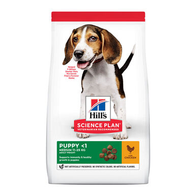 Hill's Puppy Medium Science Plan Pollo pienso 