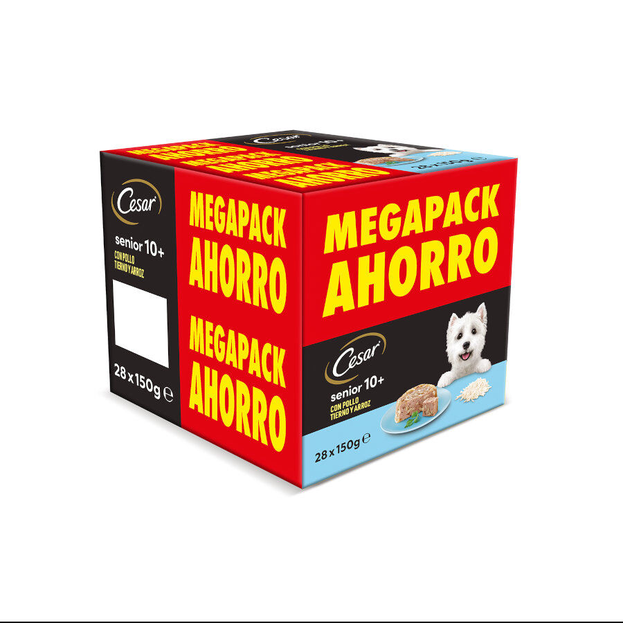 28 tarrinas x 150 g (20 + 8 tarrinas &iexcl;gratis!) Cesar Pollo y Arroz Tarrina en Gelatina para Perros Senior, , large Imagen numero 1