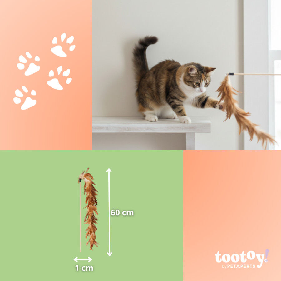 Tootoy! Caña Interactiva con Plumas para gatos thumbnail
