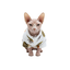 Gotoo Jersey Polar Estampado Erizo para gatos, , large indicador imagen numero 7