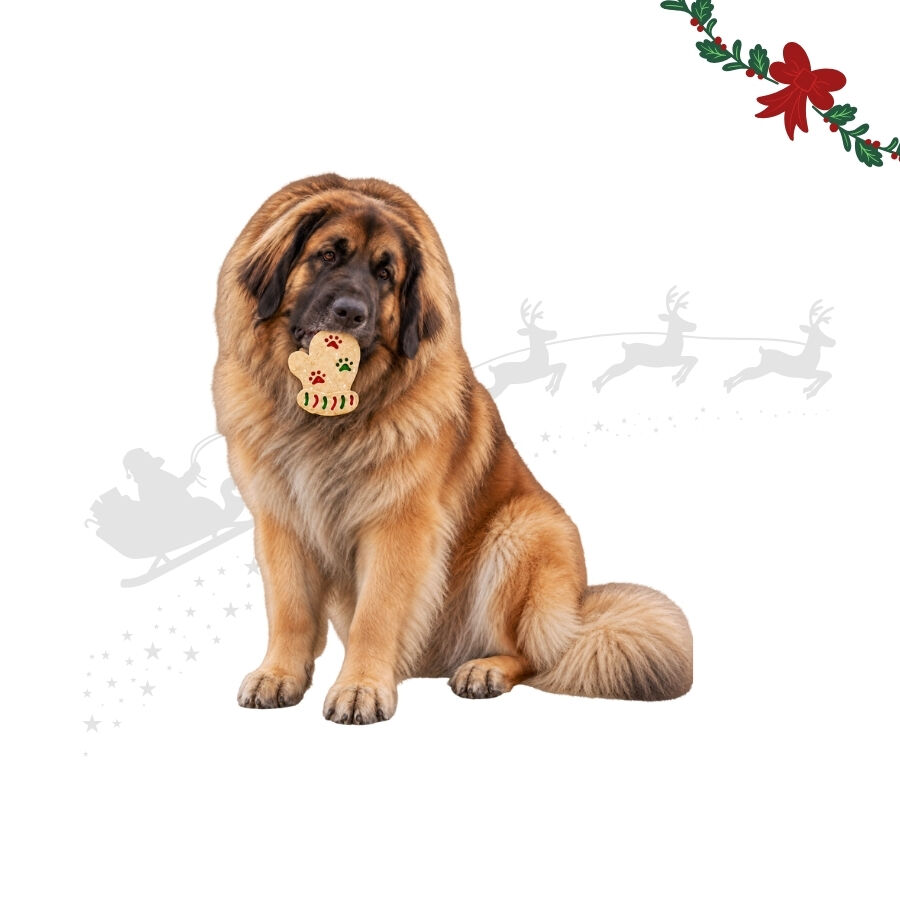 1 ud. Wonder Christmas Manopla Piel Prensada Snacks para perros, , large Imagen numero 1