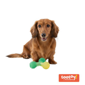 Tootoy! Mordedor de Pelotas en Tri&aacute;ngulo Verde para perros