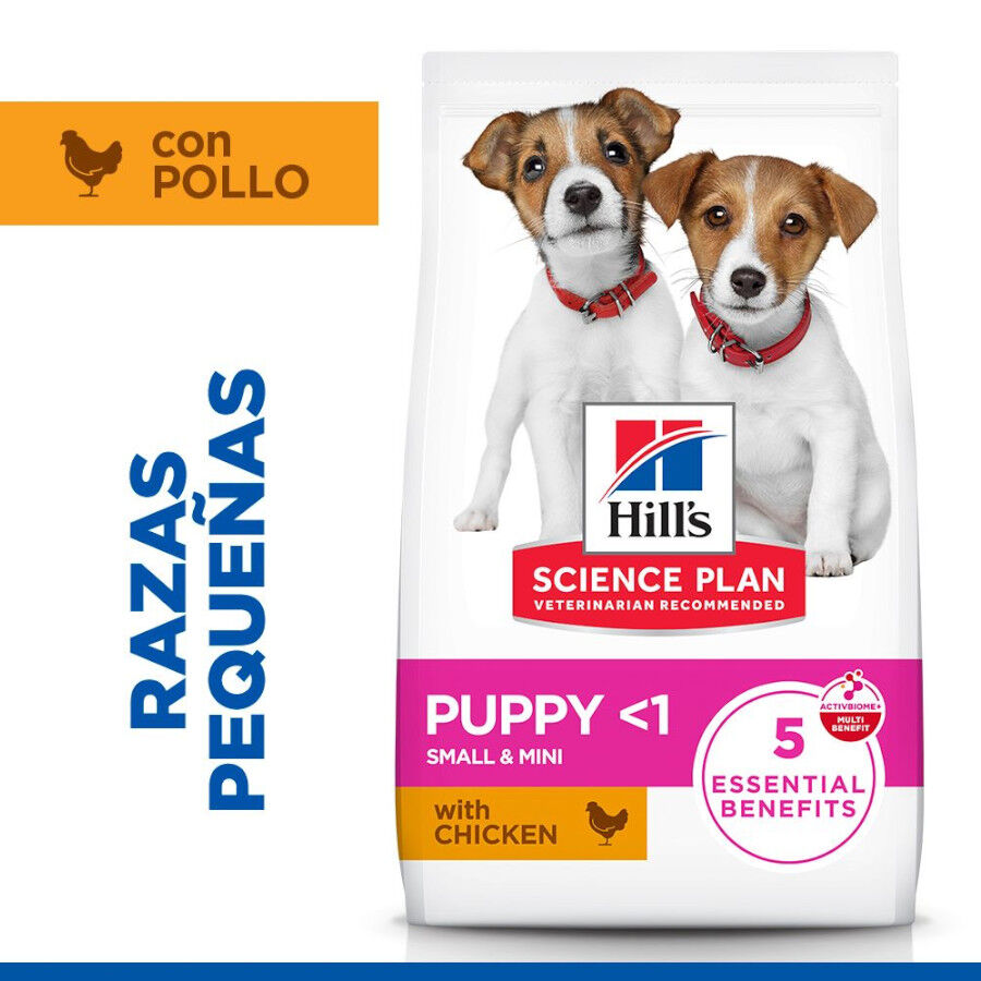 6 kg Hill's Science Plan Puppy Small y Mini Pollo Pienso para cachorros, , large Imagen numero 2