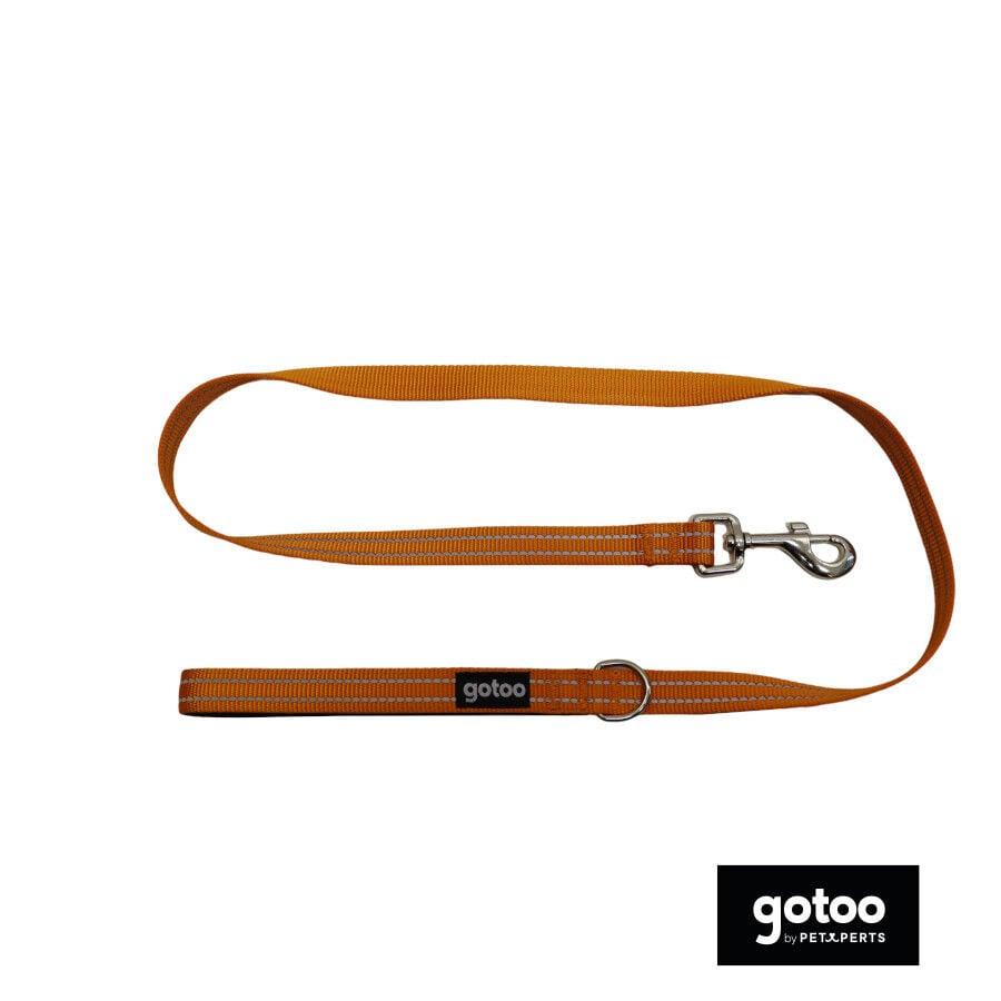 Gotoo Correa de nylon reflectante naranja para perros, , large Imagen numero 2