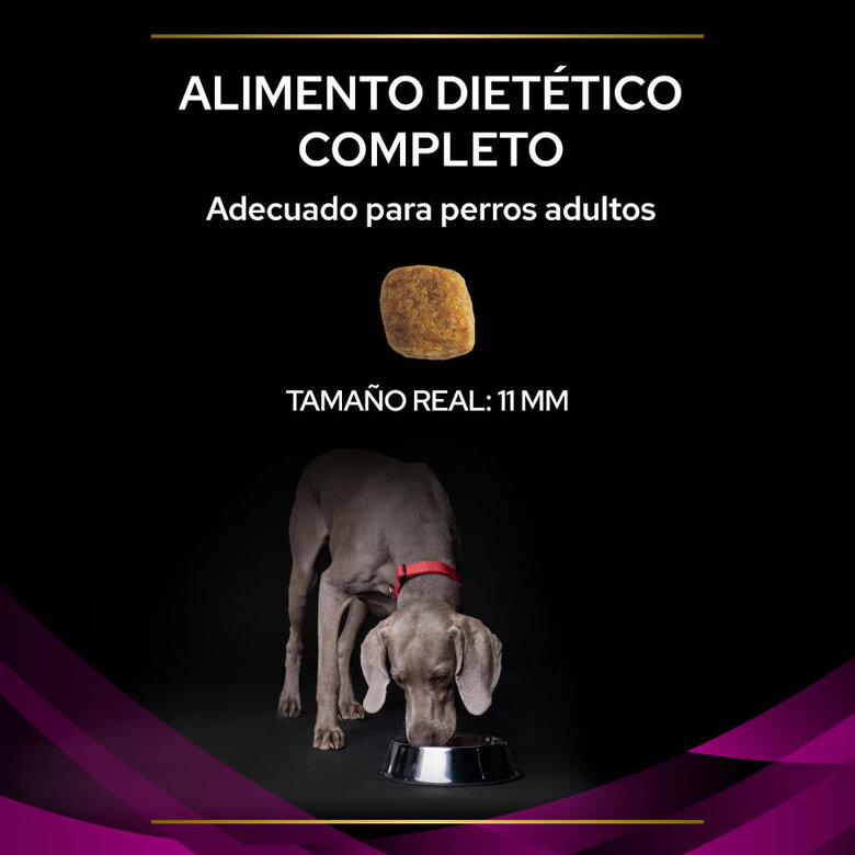 Pro Plan Veterinary Diets Urinary pienso para perros, , large image number null