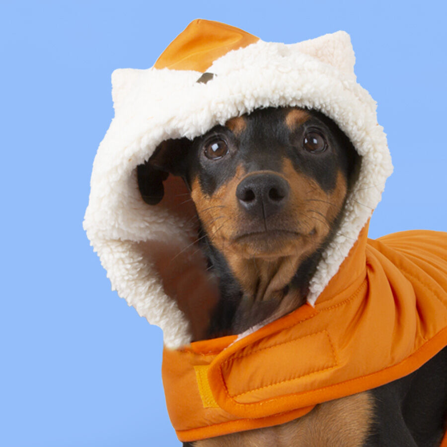 Outech Fox Abrigo para perros, , large Imagen numero 2