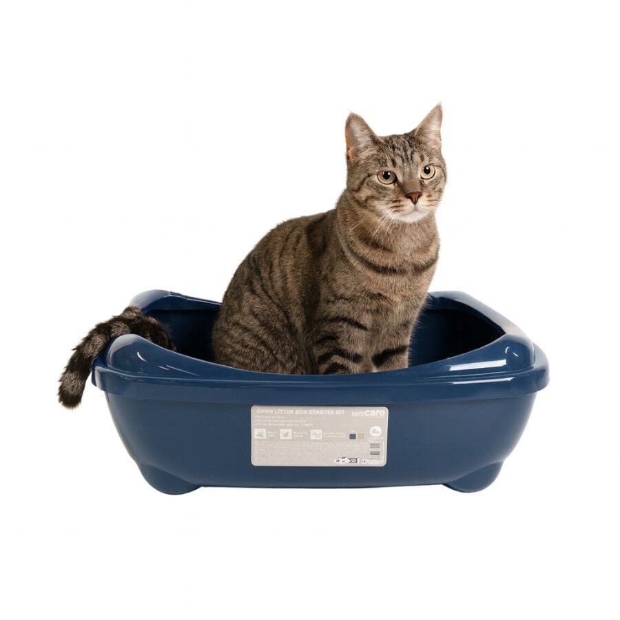 Nice Care Kit Azul para Gatos thumbnail