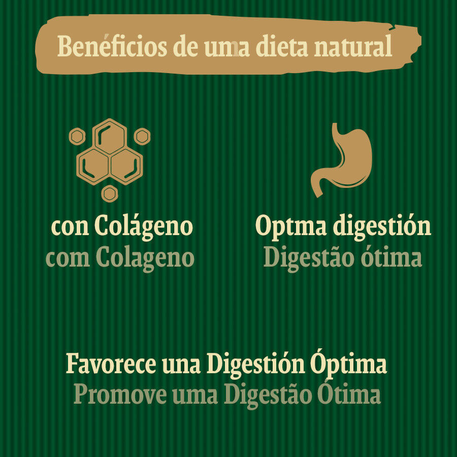 1 ud. True Origins Digestion Chewing Sticks Snack para perros, , large Imagen numero 5