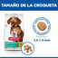 6 kg Hill's Science Plan Perfect Weight Adult Small y Mini pienso para perros, , large indicador imagen numero 4