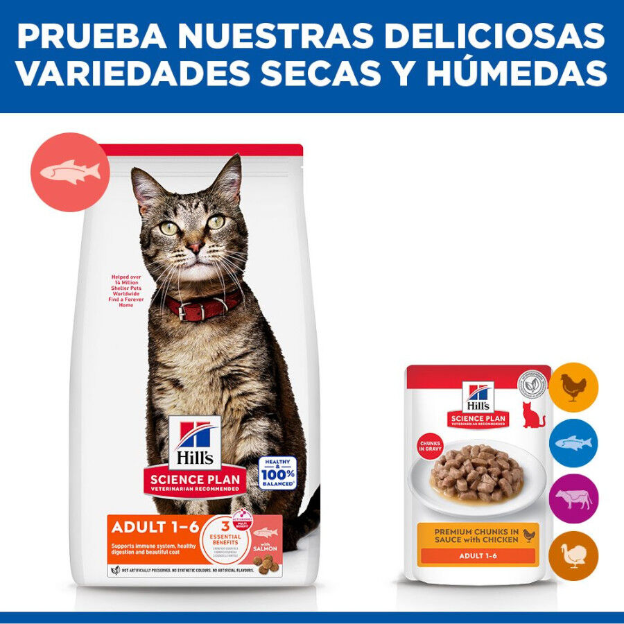 1.5 kg Hill's Science Plan Adult Pienso Salm&oacute;n para gatos, , large Imagen numero 8