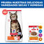 1.5 kg Hill's Science Plan Adult Pienso Salm&oacute;n para gatos, , large indicador imagen numero 8