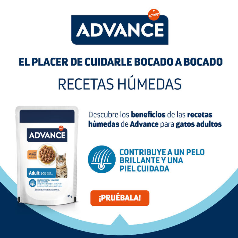 Advance Adult Bocaditos con Pollo en salsa sobre para gatos thumbnail