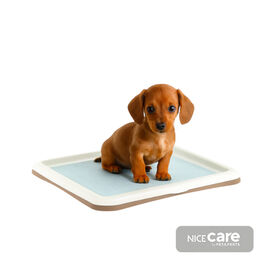 Nice Care Bandeja Sanitaria Gastone Azul para perros
