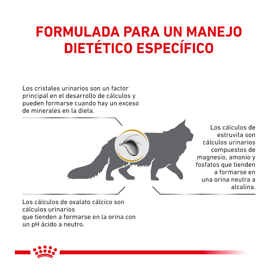 Royal Canin Veterinary Urinary pienso para gatos thumbnail