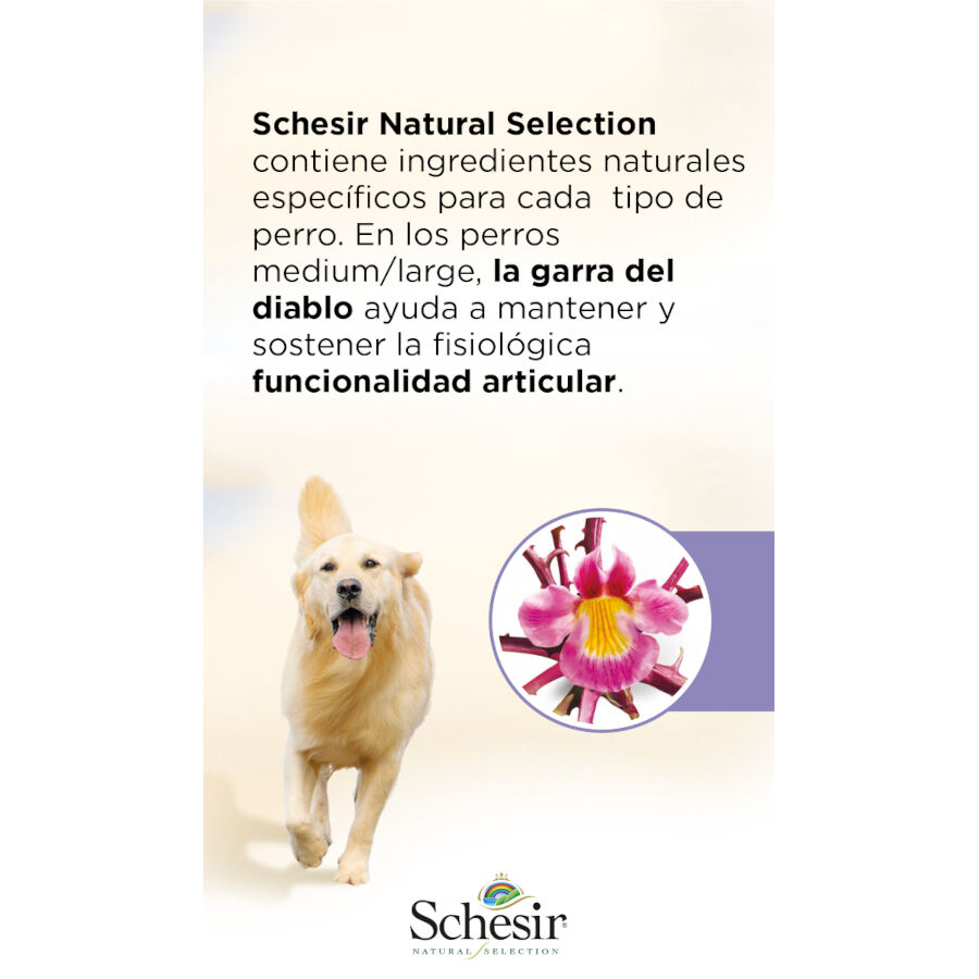 2.24 kg Schesir Adult Medium&Large Natural Selection Pavo pienso para perros, , large Imagen numero 4
