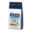 Advance Adult Labrador & Golden Retriever Active Defense Pollo y Arroz pienso para perros, , large indicador imagen numero 1