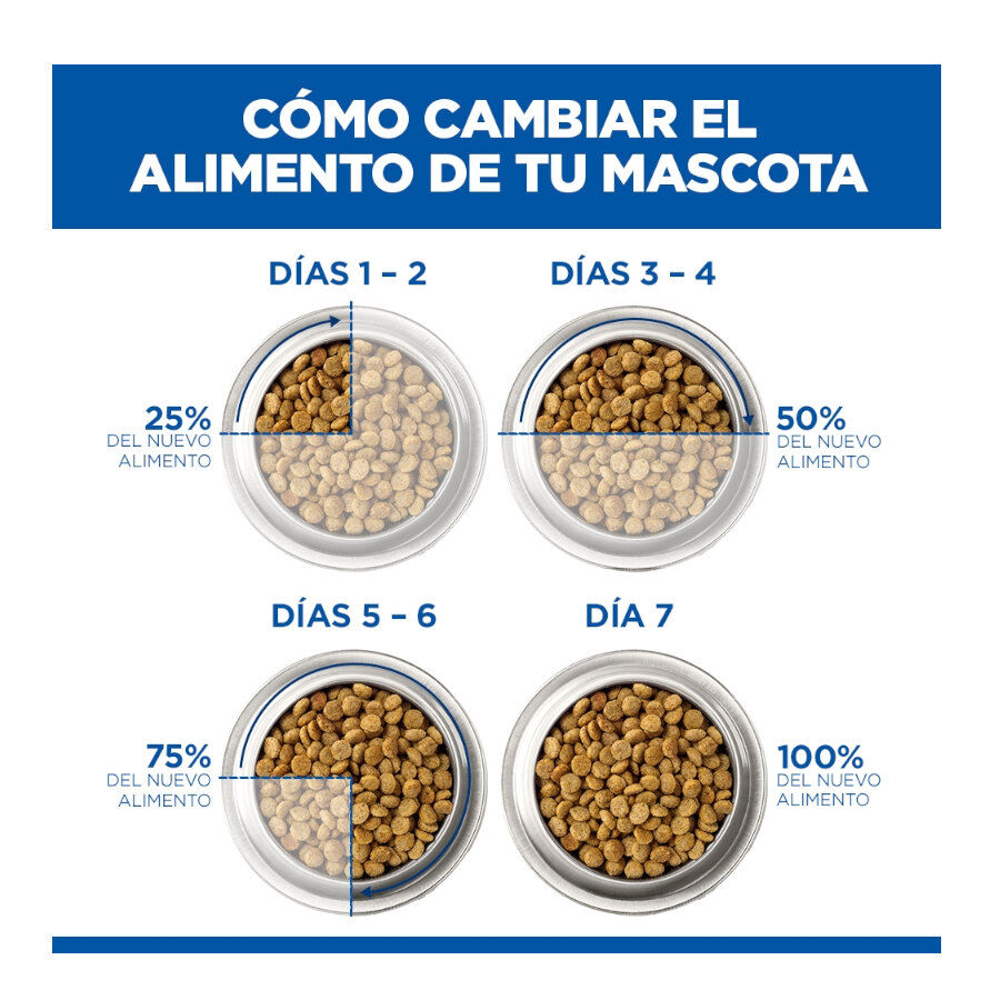85 g Hill's Science Plan Kitten Pescado Azul sobre para gatos, , large Imagen numero 9