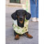 Dukier Avocado Chubasquero para perros, , large indicador imagen numero 7