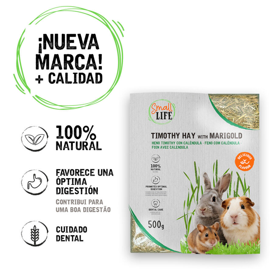Small Life Heno Timothy con Calendura para roedores, , large Imagen numero 2