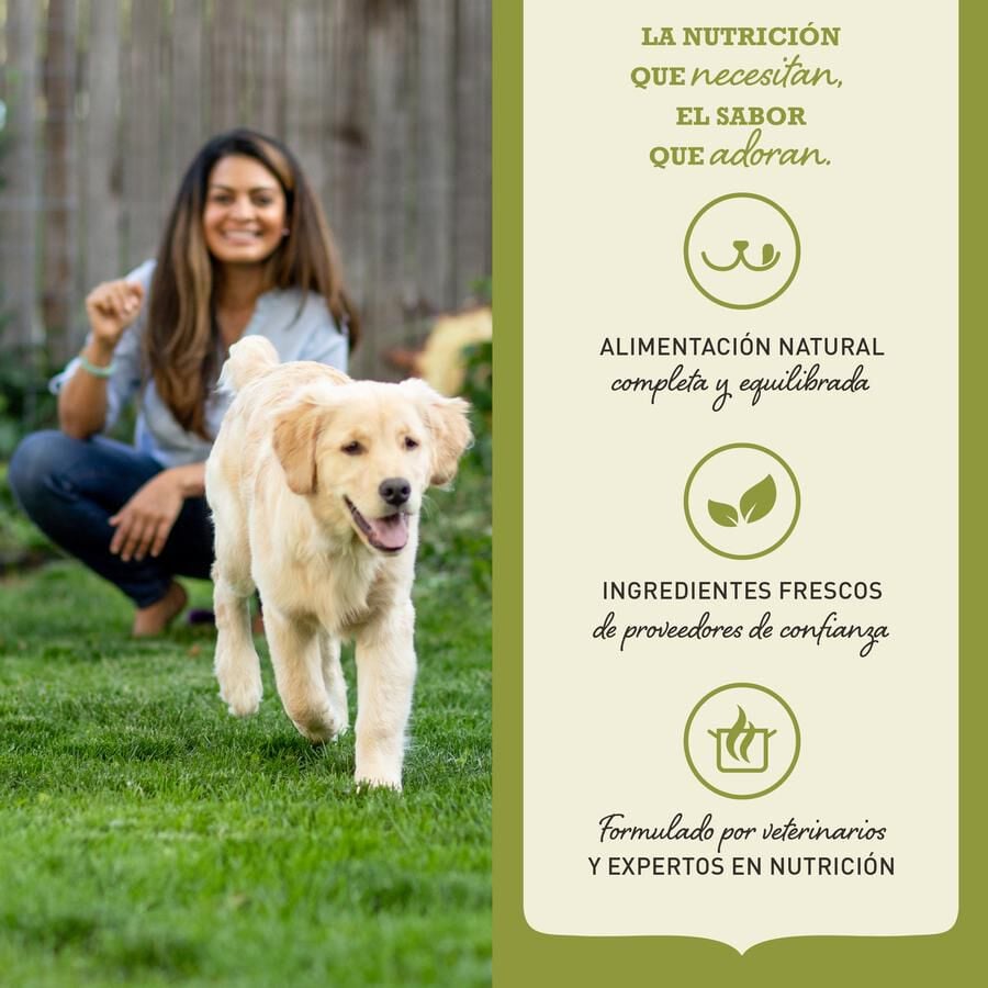 Acana Adult Small Breed pienso para perros thumbnail