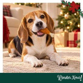 Wonder Christmas Muslo de Pollo Snacks para perros