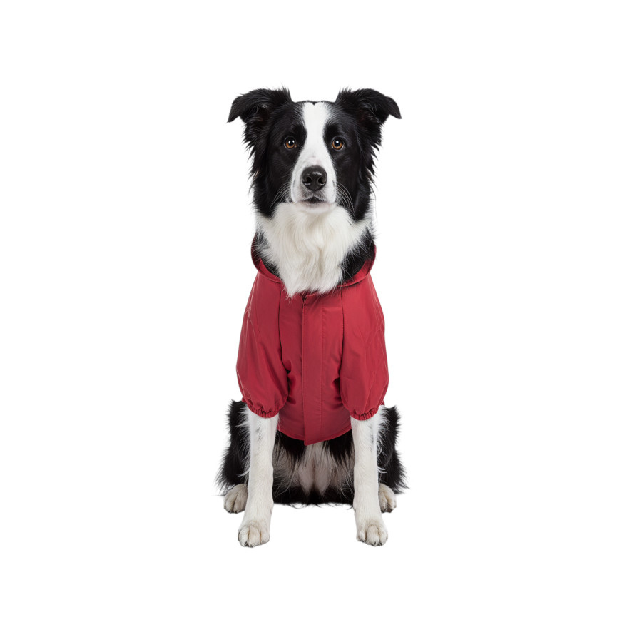 Gotoo Abrigo Impermeable Reflectante Rojo para perros, , large Imagen numero 7