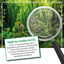 Microbe-Lift Bio CO2 Fertilizante Líquido de Carbono para acuarios, , large indicador imagen numero 3