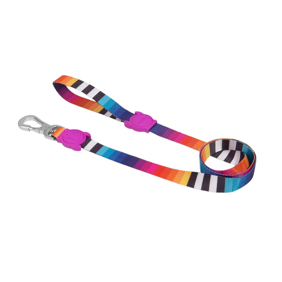 Zee Dog Prisma Correa para perros, , large Imagen numero 1