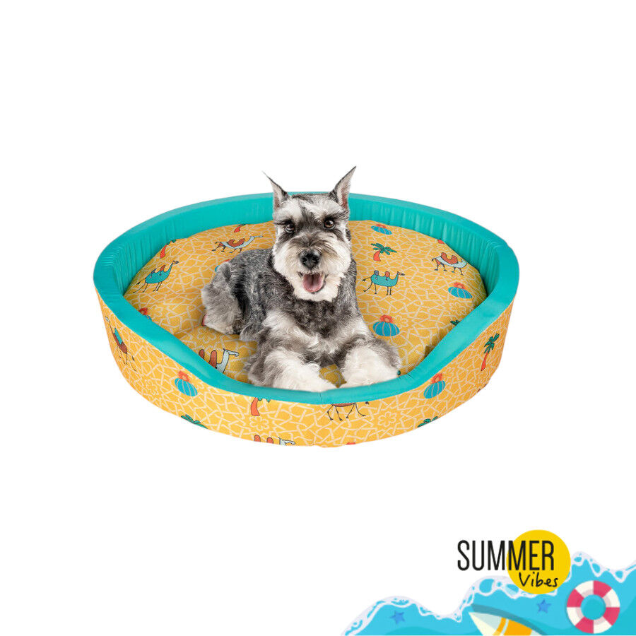 Summer Vibes Camel Fresh Cama refrescante para perros, , large Imagen numero 2