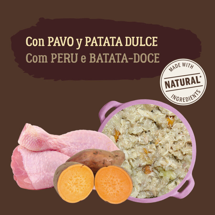 True Origins Pure Adult Gently Coocked Pavo y Patata sobre para perros thumbnail