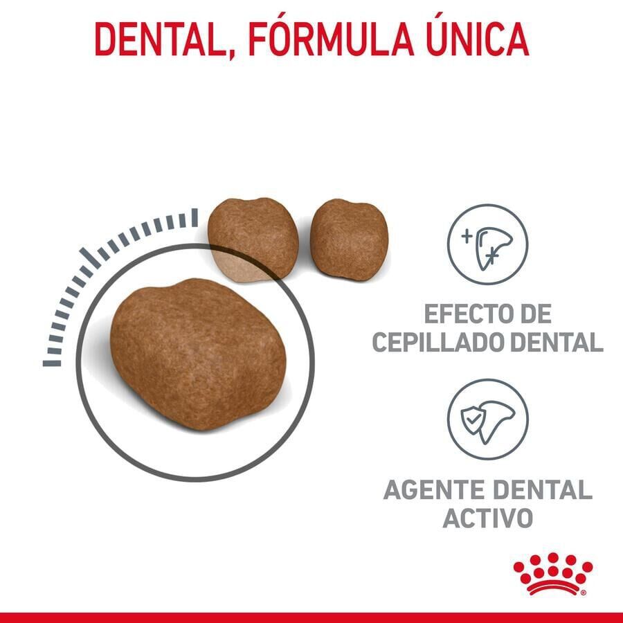 Royal Canin Adult Oral pienso para gatos thumbnail