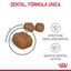 1.5 kg Royal Canin Adult Oral pienso para gatos, , large indicador imagen numero 5
