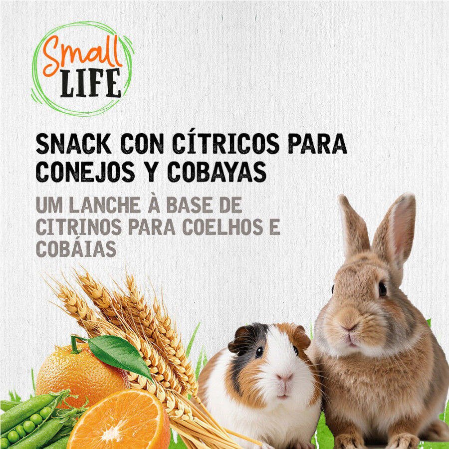2 barritas Small Life Barritas Snack con C&iacute;tricos para conejos y cobayas, , large Imagen numero 4