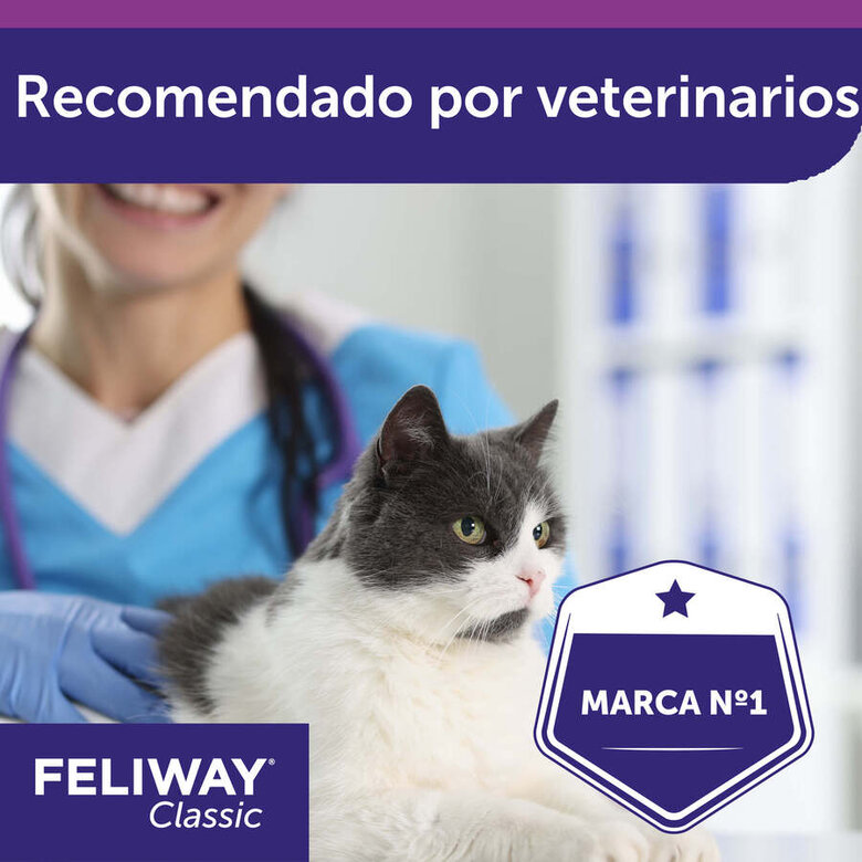 Feliway Classic Difusor y/o Recambio Tranquilizante para gatos, , large image number null