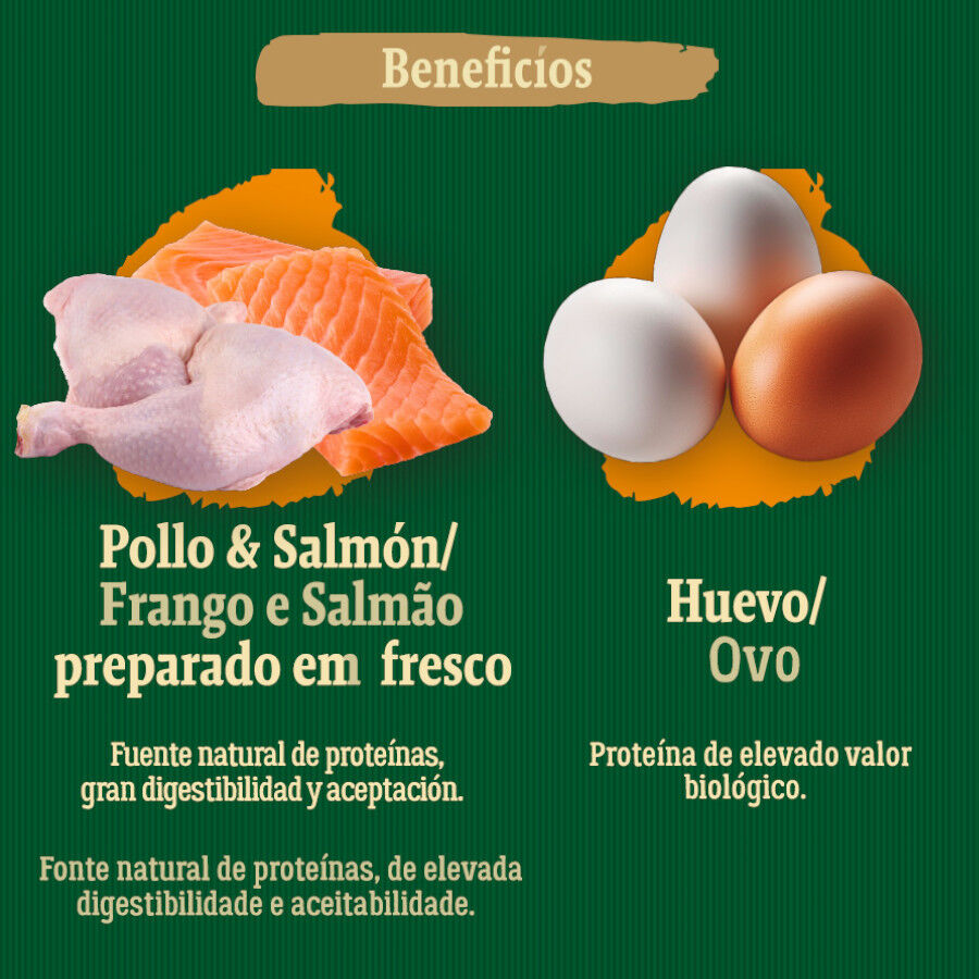 6 kg True Origins Wild Adult Country Water Pollo y Salm&oacute;n pienso para gatos, , large Imagen numero 5