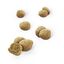 40 g Dentalife Snack Dentales Pollo para gatos, , large indicador imagen numero 3
