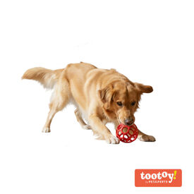 Tootoy! Pelota Easy Grip Hexagonal para perros