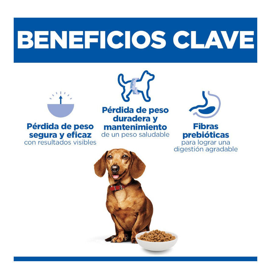 6 kg Hill's Science Plan Perfect Weight Adult Small y Mini pienso para perros, , large Imagen numero 3