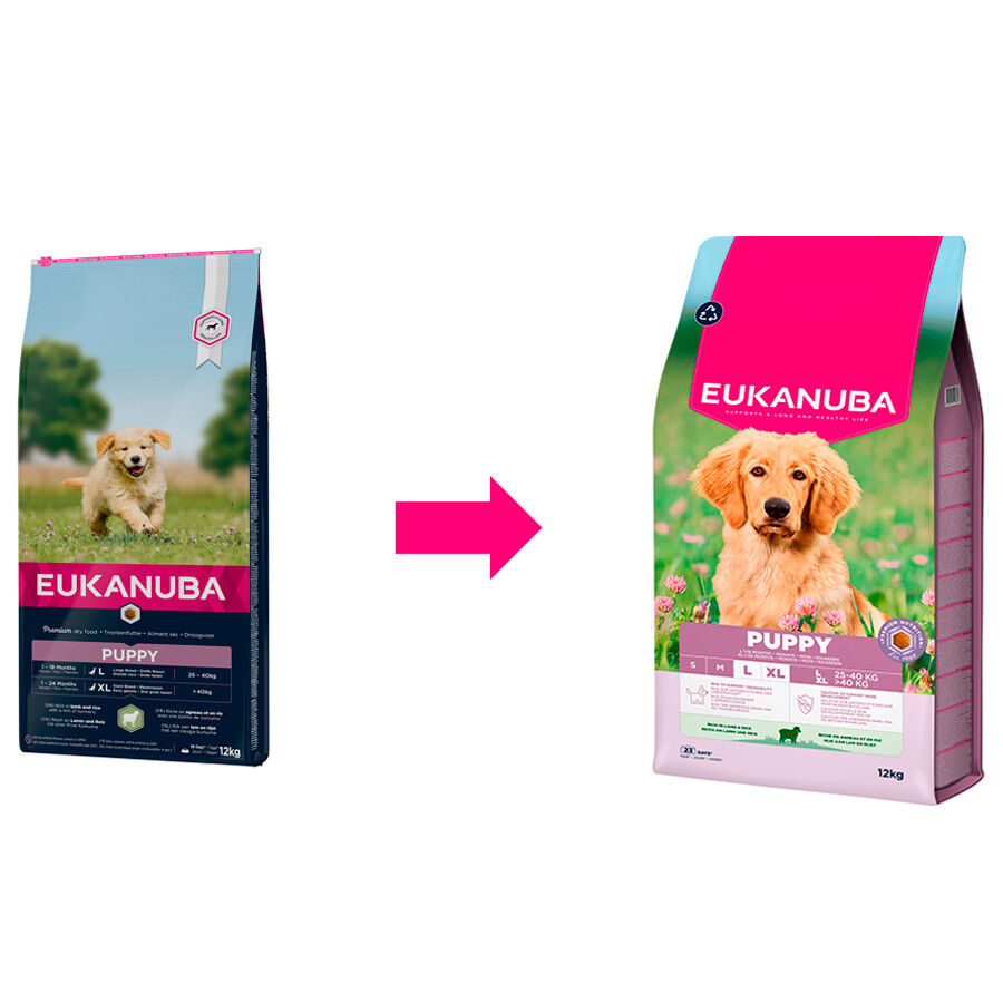 Eukanuba Puppy Large Cordero y Arroz pienso para cachorros