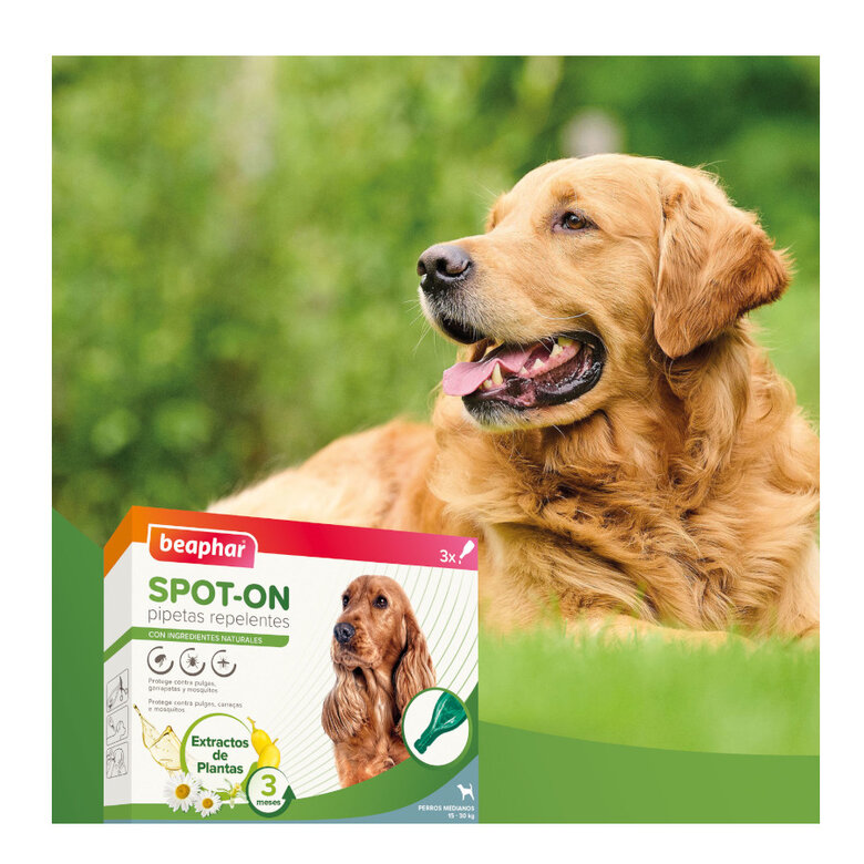 Beaphar Pipetas repelentes para perros medianos, , large image number null