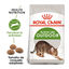 Royal Canin Active Life Outdoor pienso para gatos, , large indicador imagen numero 1