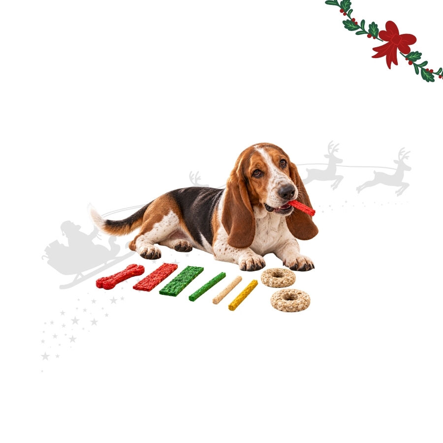 1 pack x 9 uds. Wonder Christmas Bolsa Regalo Cuero Prensado Snacks para perros, , large Imagen numero 1