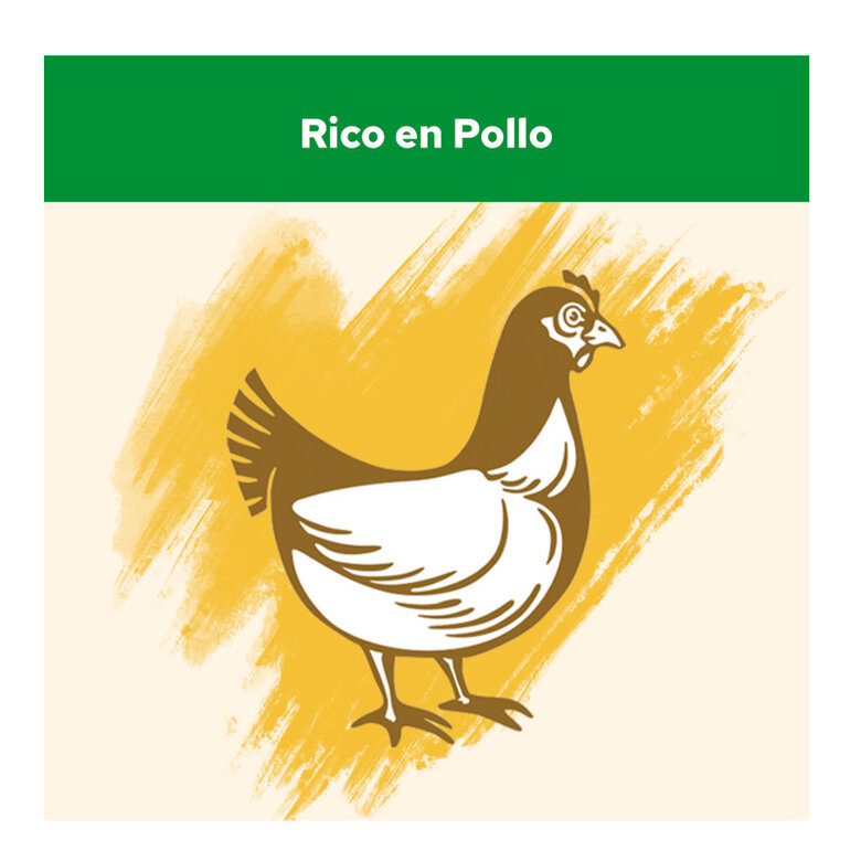 15 kg Cat Chow Sterilized Pollo Pienso para gatos,  Imagen numero 4 15 kg Cat Chow Sterilized Pollo Pienso para gatos, , large Imagen numero 4