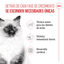 85 g Royal Canin Kitten comida húmeda en gelatina sobre para gatitos, , large indicador imagen numero 3