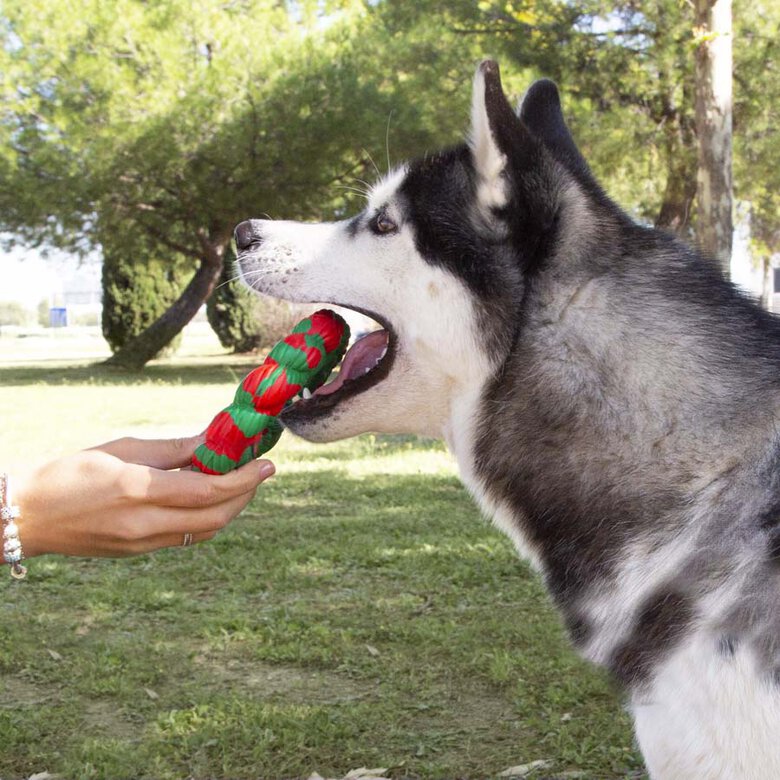 Wonder Christmas Aro Mordedor Navideño para perros,  Imagen numero 2 Wonder Christmas Aro Mordedor Navideño para perros, , large Imagen numero 2