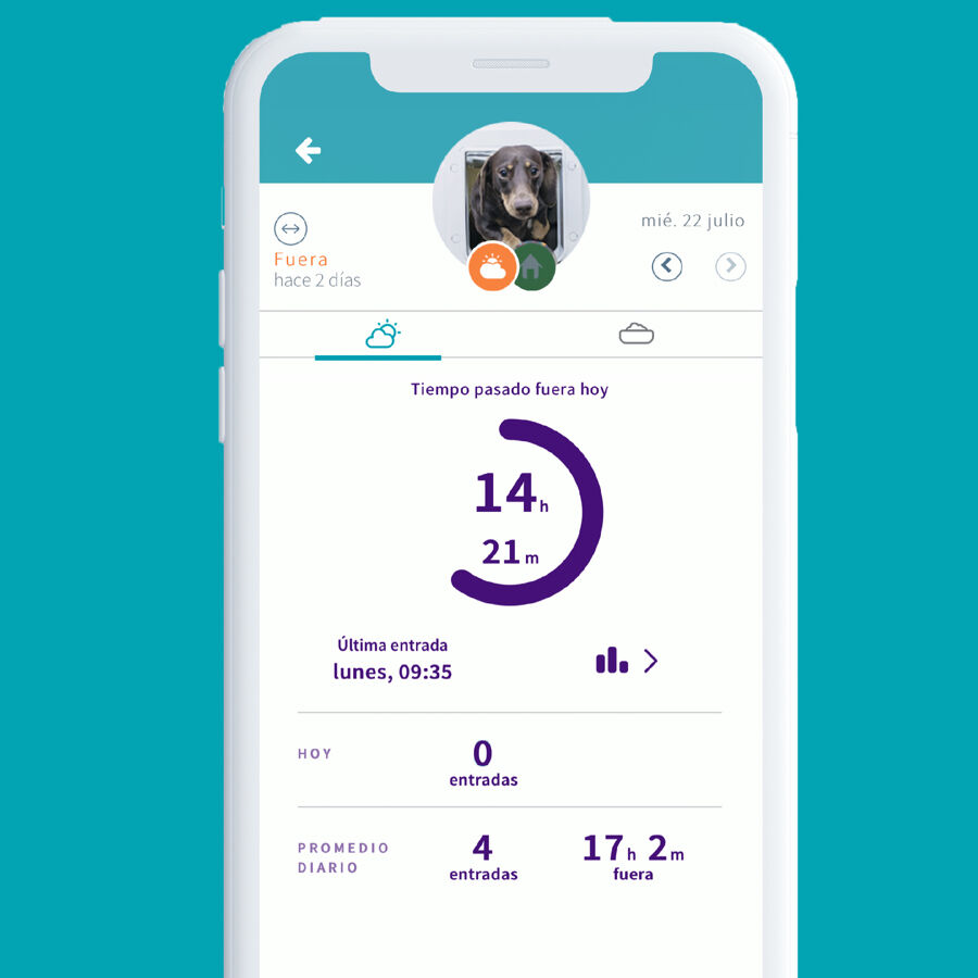 Sure Petcare SureFlap Puerta Automática Blanca con Microchip thumbnail