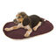 TK-Pet Cubrecama Marrón para perros, , large indicador imagen numero 1